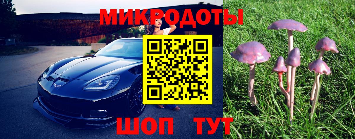 Галлюциногенные грибы GOLDEN TEACHER Избербаш